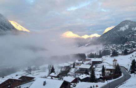 Les Chalets du Petit Châtel - Foto 11