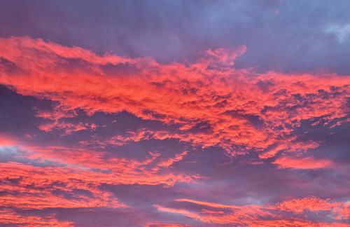 Agriturismo Antico Loggiato - Foto 10