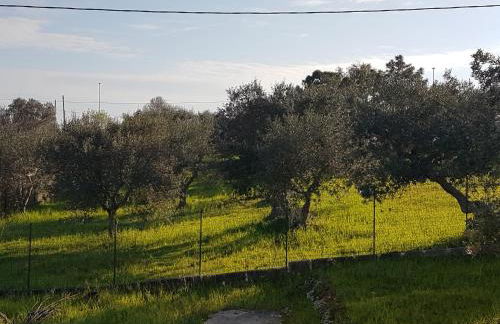 Appartamento Puccini - Foto 17