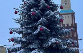 FeWo Wittstock - Photo 4