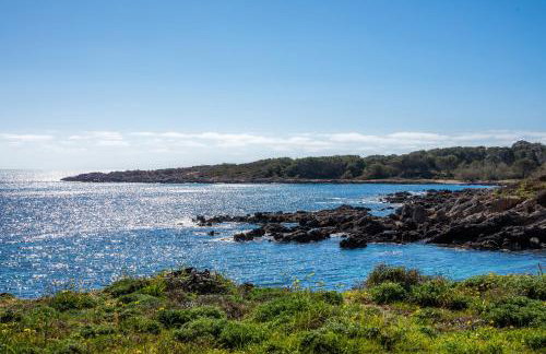 Finca Es Carregador - Photo 24