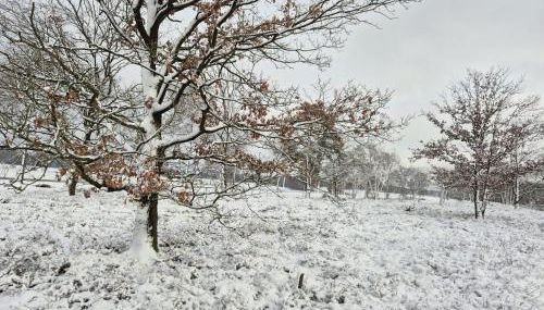 Ferienwohnungen Liedtke - Foto 2