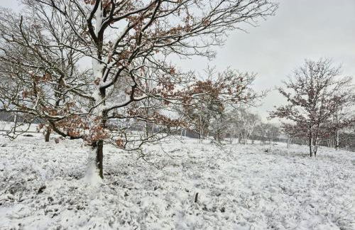 Ferienwohnungen Liedtke - Foto 2