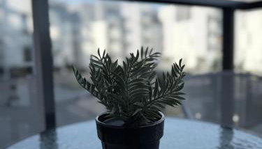 Apartament Natura - Foto 5