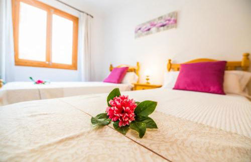 Ideal Property Mallorca - Tobalu - Foto 19