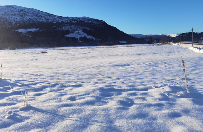 1 Tagestour von Bergen nach Flåm, Nærøyfjord Cruise & Stegastein - Foto 4