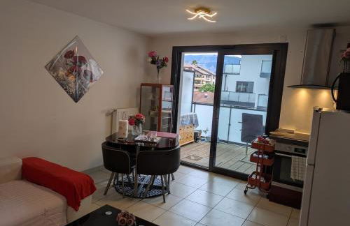 Beautiful flat around Geneva & its airport Palexpo - Photo 9