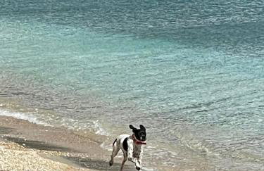 Aqua Seaview Suite - Foto 34