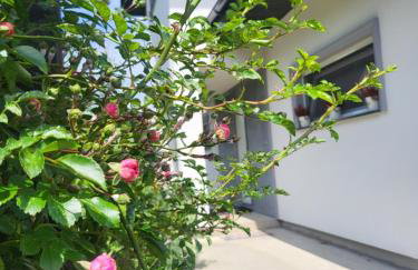 Leśne Wzgórze nad Soliną - Foto 37