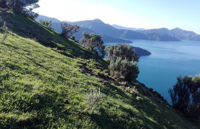 The Lodge At Te Rawa - Boat Access Only - Foto 43