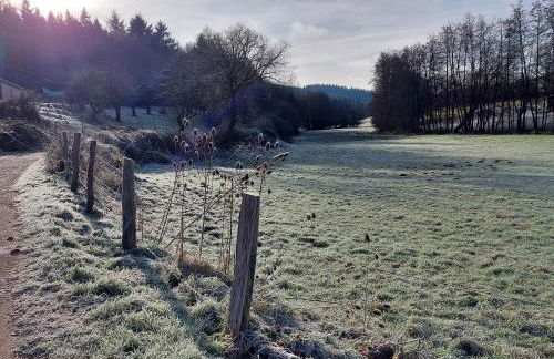 Kleine Jagdhütte - Photo 15