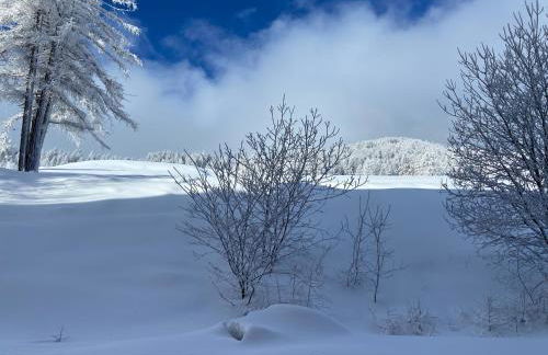 Pied des Pistes, 2 pièces, 6pers, Piscine et Sauna - Foto 24