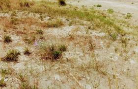 Piso luminoso y acogedor en primera línea de playa Covas Viveiro - Foto 25