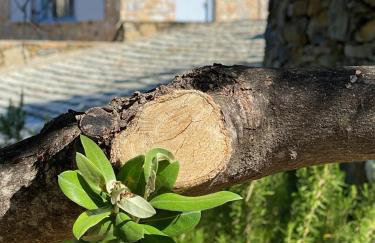 Laas Daskios, Stone Country House, Skopelos Anania - Foto 67