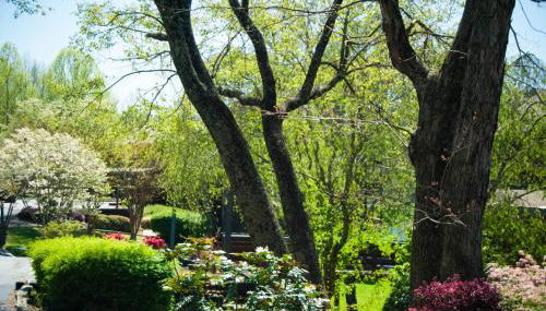 Country Hideaway at Mountain Lakes Resort - Foto 5