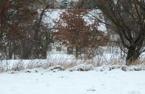 Pod Miotełką - Foto 6