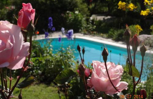 Quinta das Delicias - Foto 11