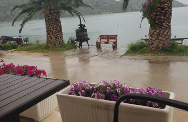 Apartments Damić - Photo 34