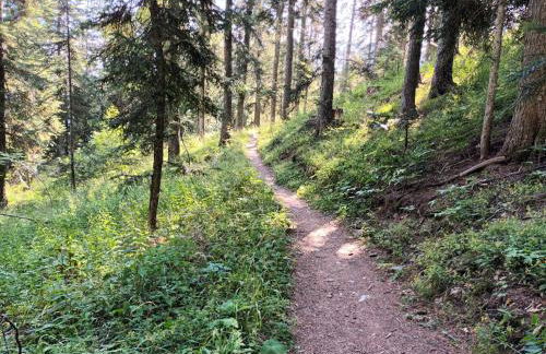 Ski et Détente Les Orres 1650 Animaux OK - Photo 62