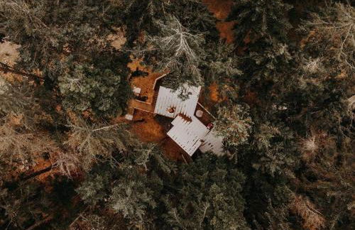 Treehouse on the Water -Eagles Nest-20 ft high - Foto 36