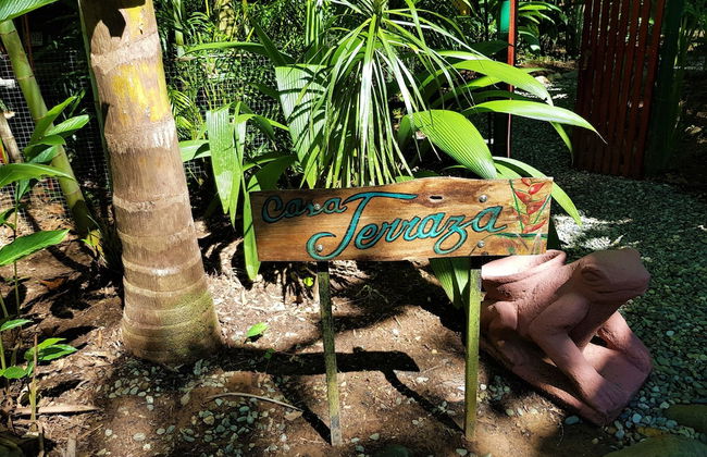 El Jardin de Playa Negra - Foto 54