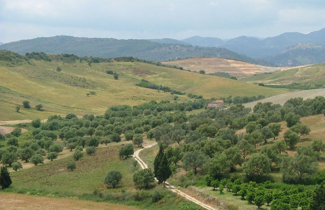 Holiday Home in Guardavalle Near River - Foto 25