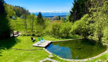 Alpenblick-Hotzenwald - Foto 2