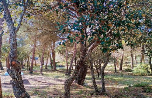 Gîte Lavande vue Luberon 33 hectares piscine Spa Sauna au cœur de Provence - Foto 41