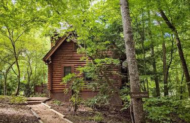 Ocoee Cabin Beautiful Cabin On The River's Edge - Foto 25