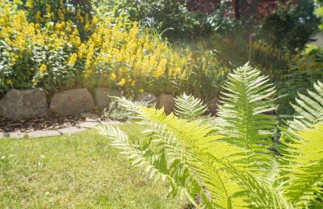 Apartment-Hotel Dieksee Eck - Foto 76