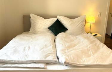 FeWo Lessingstube nahe Jägermeister - Foto 10