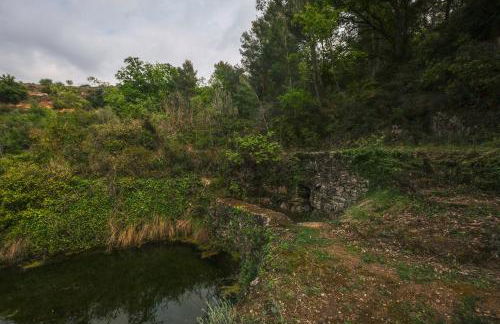 Gegant de Pedra Apartaments - Photo 48