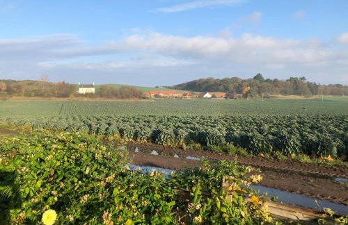 Lynn Cottage - Foto 26