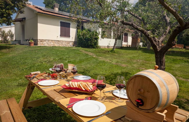 Artemisia negli ulivi B&B - Photo 1