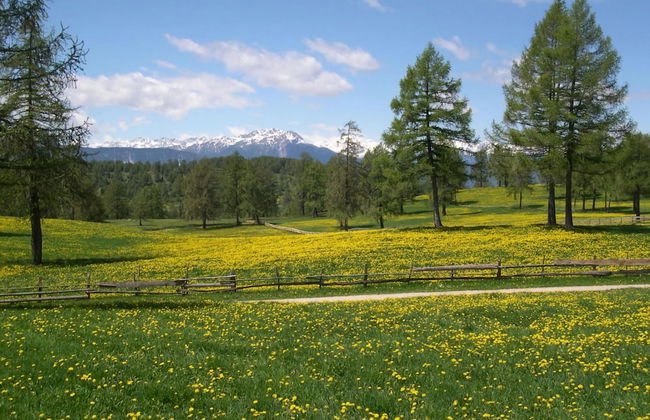 Lagrein in the Prantenbergergut - Foto 14