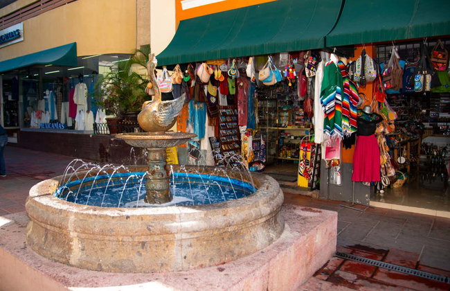 Excursión a Colima y Comala - Foto 5