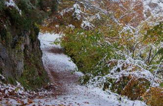 Apartamentos Rurales Casa Marcelo II - Foto 58