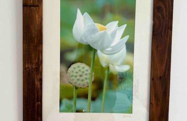 Belle et confortable maison de ville - Foto 2