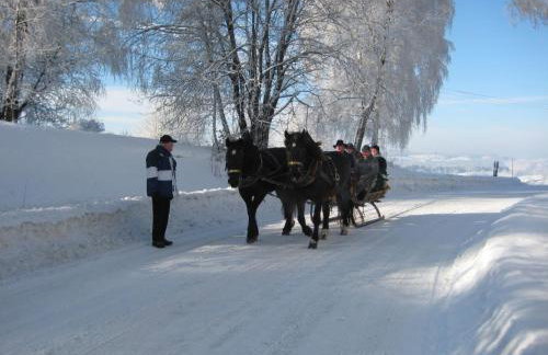 Apartment Wildfeuer by Interhome - Foto 22