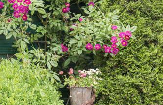 Birgits Huuske - Photo 37