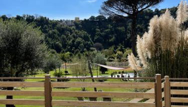 Tenuta calidarius - Foto 3