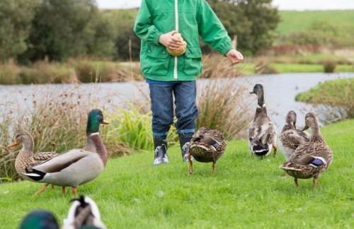 Fistral hot tub house for 8 on Retallack Resort - Foto 54