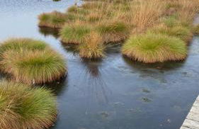 Landhausidylle - Photo 13