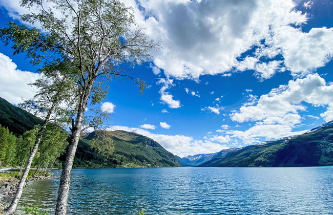 Haukedalspanorama - Foto 26