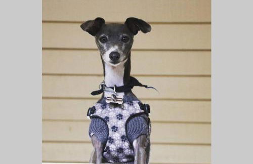 Comfy, Quiet, Condo near Lake Mary and the Village - Foto 1