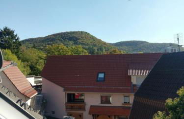 Gäste-Appartement-Kirsammer - Foto 20