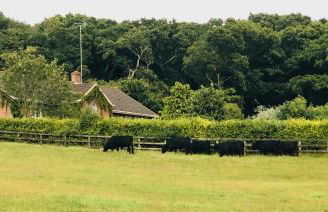 Yellowham Farm, Dorchester - Photo 1