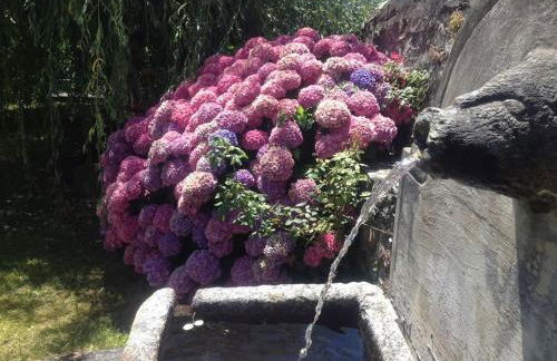 La Sorgente al Roseto del Drago - Foto 48