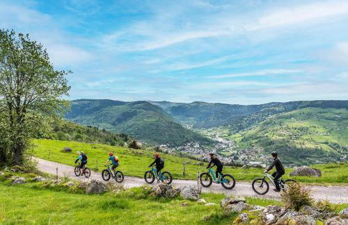 La Clémentine - Foto 34