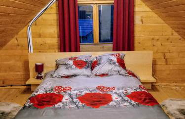 Siedlisko Sielska Dolina Nad Stawem luksusowy domek całoroczny z klimatyzacją - Foto 26